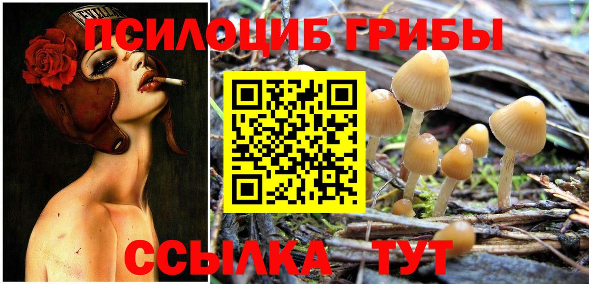Псилоцибиновые грибы MAGIC MUSHROOMS Железноводск