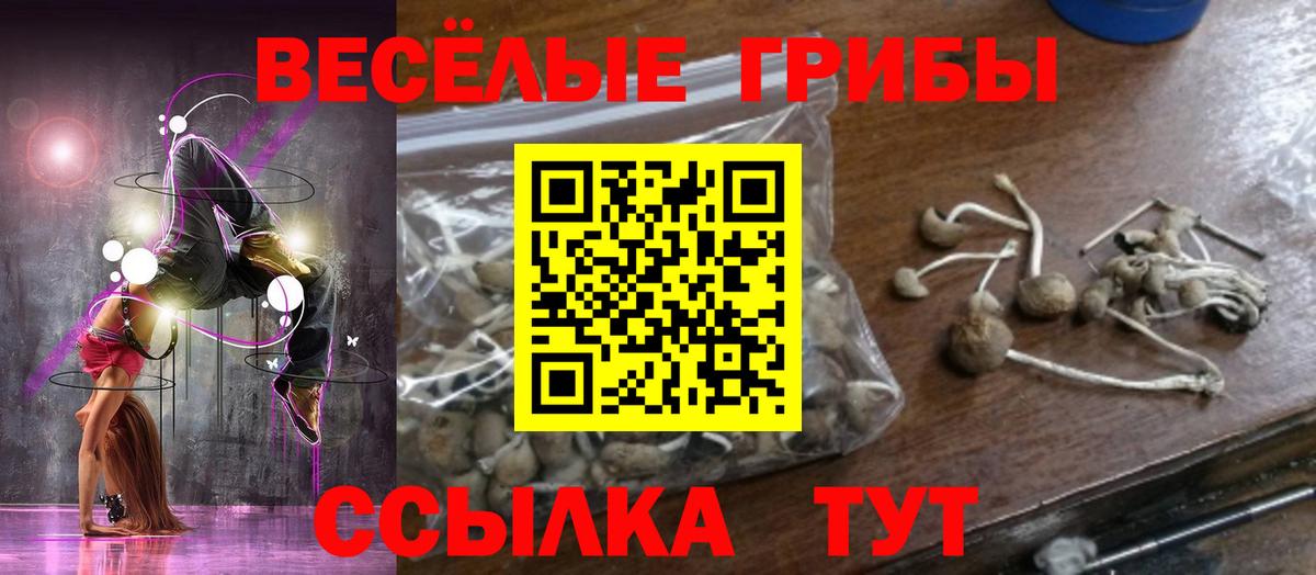 Железноводск  Галлюциногенные грибы GOLDEN TEACHER  Вход с VPN 